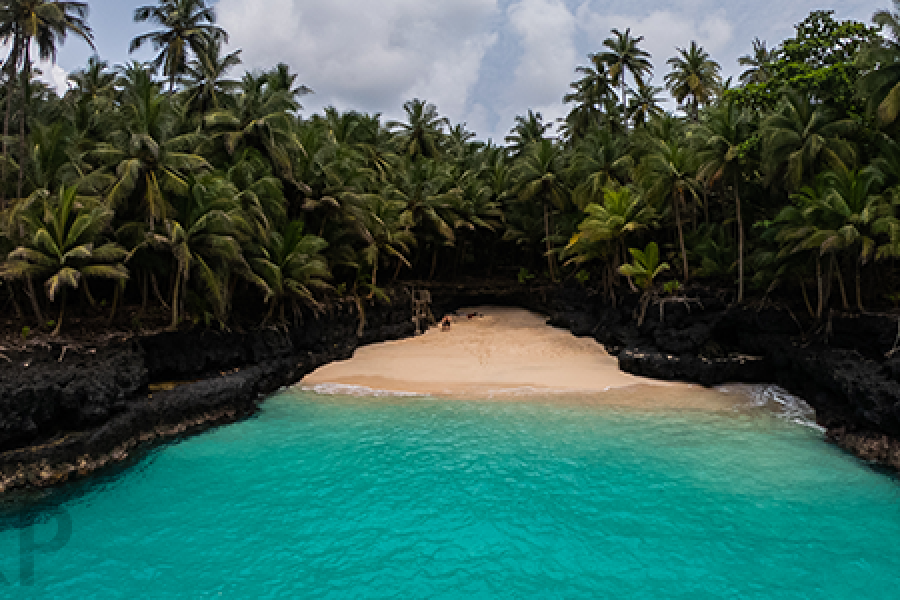 Picnic on the Paradise Beaches