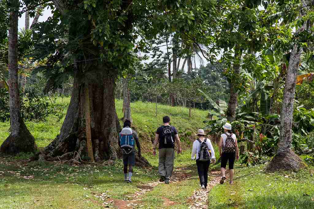 Tours São Tomé