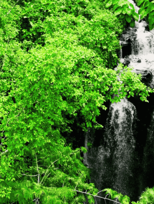 CASCATA EDEN
