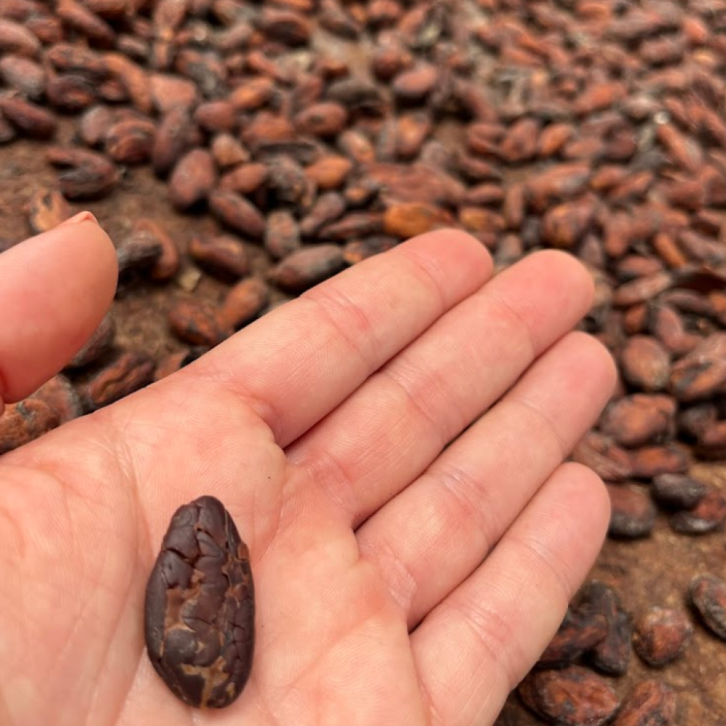 São Tomé e Príncipe